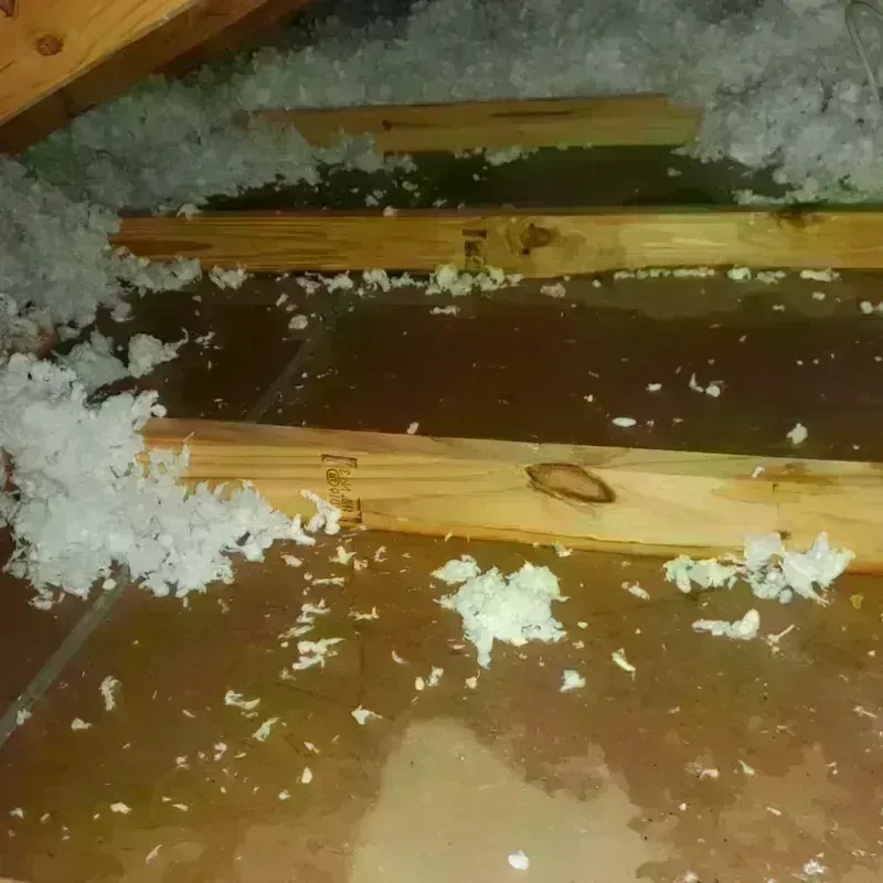 Attic Water Damage in Seacliff, CA