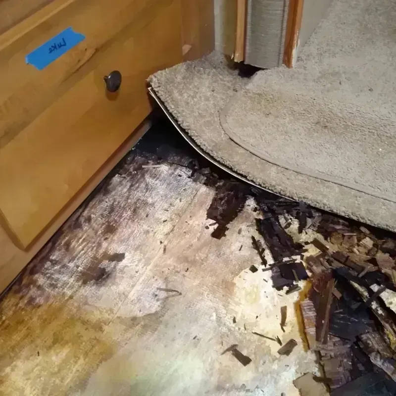 Wood Floor Water Damage in Seacliff, CA